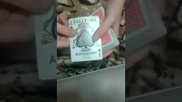 Обзор Tally ho смотреть онлайн