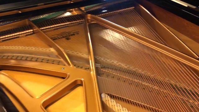Bechstein grand piano 1993 - Chopin Prelude in B minor (Op.28 No.6) смотреть онлайн