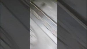 Форд транзит 2.2 дизель. удаление воздуха из топливопровода.