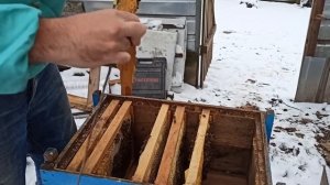 Пересадка пчел зимой в новый улей