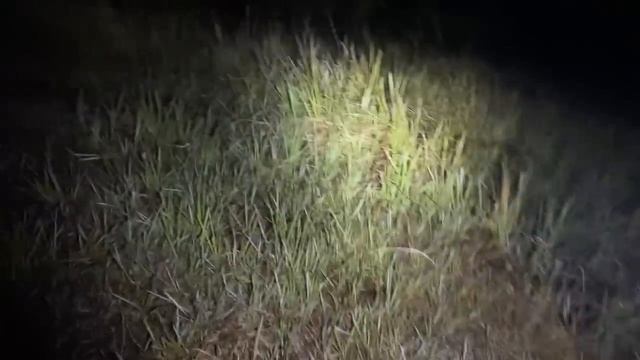 Buroni Aul Yang Meresahkan смотреть онлайн