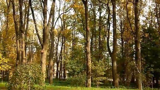 Утром в парке. Часть 6 смотреть онлайн