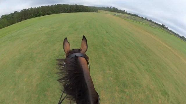 Helmet Cam: Riot Gear (2021 Area III Intermediate Horse Championships) смотреть онлайн