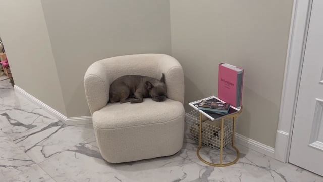 ОБЗОР НОВОЙ КВАРТИРЫ! РЕМОНТ В СТАРОМ ФОНДЕ. Соседи, газ,электрика. смотреть онлайн