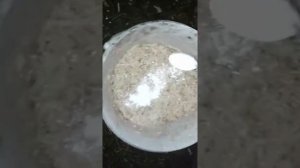 Чем кормить гусей в зимне-весенний период.