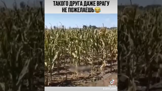 А У ВАС КАКИЕ ДРУЗЬЯ?