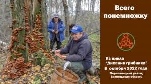 Всего  понемножку. Дневник грибника  8 октября 2022 года.