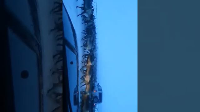 Север, надым, новый уренгой, nissan potrol safari. Олени на пути по зимнику смотреть онлайн