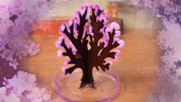 Выращиваем волшебную сакуру.