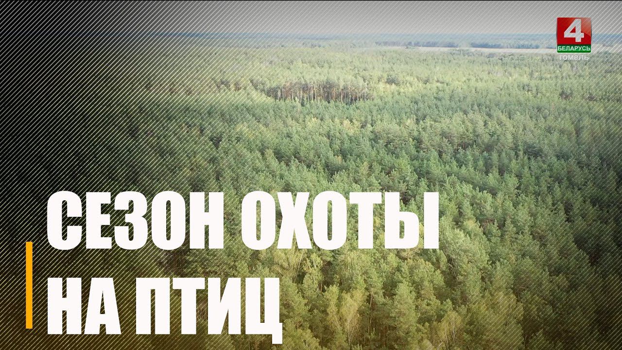 В Беларуси открыли сезон охоты на пернатую дичь смотреть онлайн