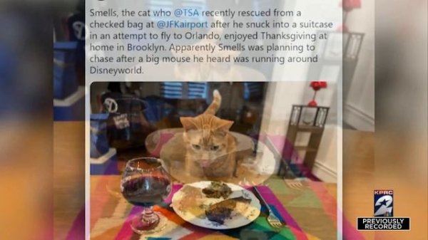 Recall Roundup: Remove these products from your home to keep your family safe