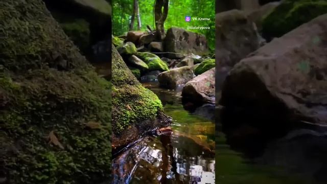 Звуки природы?