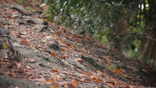 Женская мода и стиль для деловых поездок