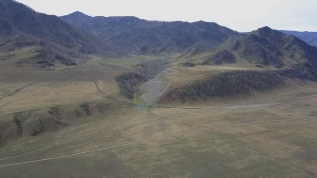 Цветущая долина реки Катунь на Алтае смотреть онлайн