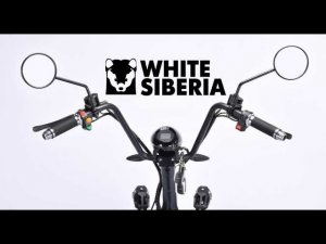 ОЧЕНЬ КРУТЫЕ СИТИКОКИ от White Siberia Electro - Электроскутер WS PRO LITE 2000W Обзор и тест-драйв!