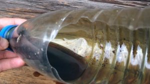 ТАД-17. ЗАВОДСЬКА. МАСЛО одзив