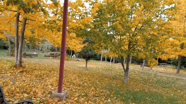 вот я учудила & сама себя хвалю смотреть онлайн