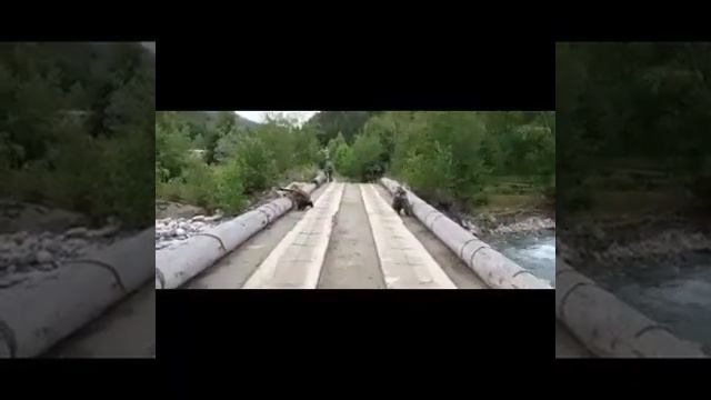 Дальний поход в горы Кавказа смотреть онлайн