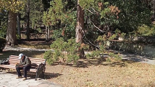 11 октября 2023 . Пруд с скульптурой "лебедь" в санатории "Дюльбер" смотреть онлайн