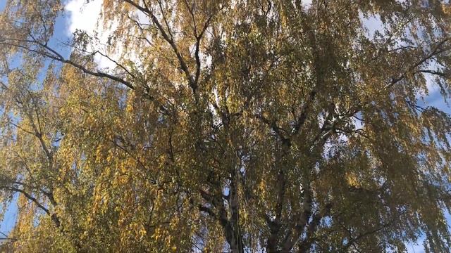 Лучина смотреть онлайн