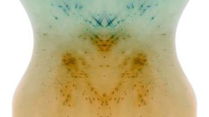 Спокойной ночи малыши In G Major 36 V2