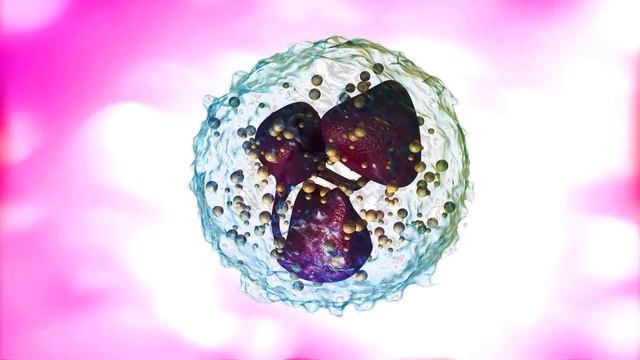 All about White Blood Cells – [Hindi] – Quick Support смотреть онлайн