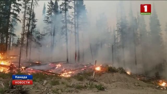 На западе Канады дым от лесных пожаров привел к отмене авиарейсов смотреть онлайн