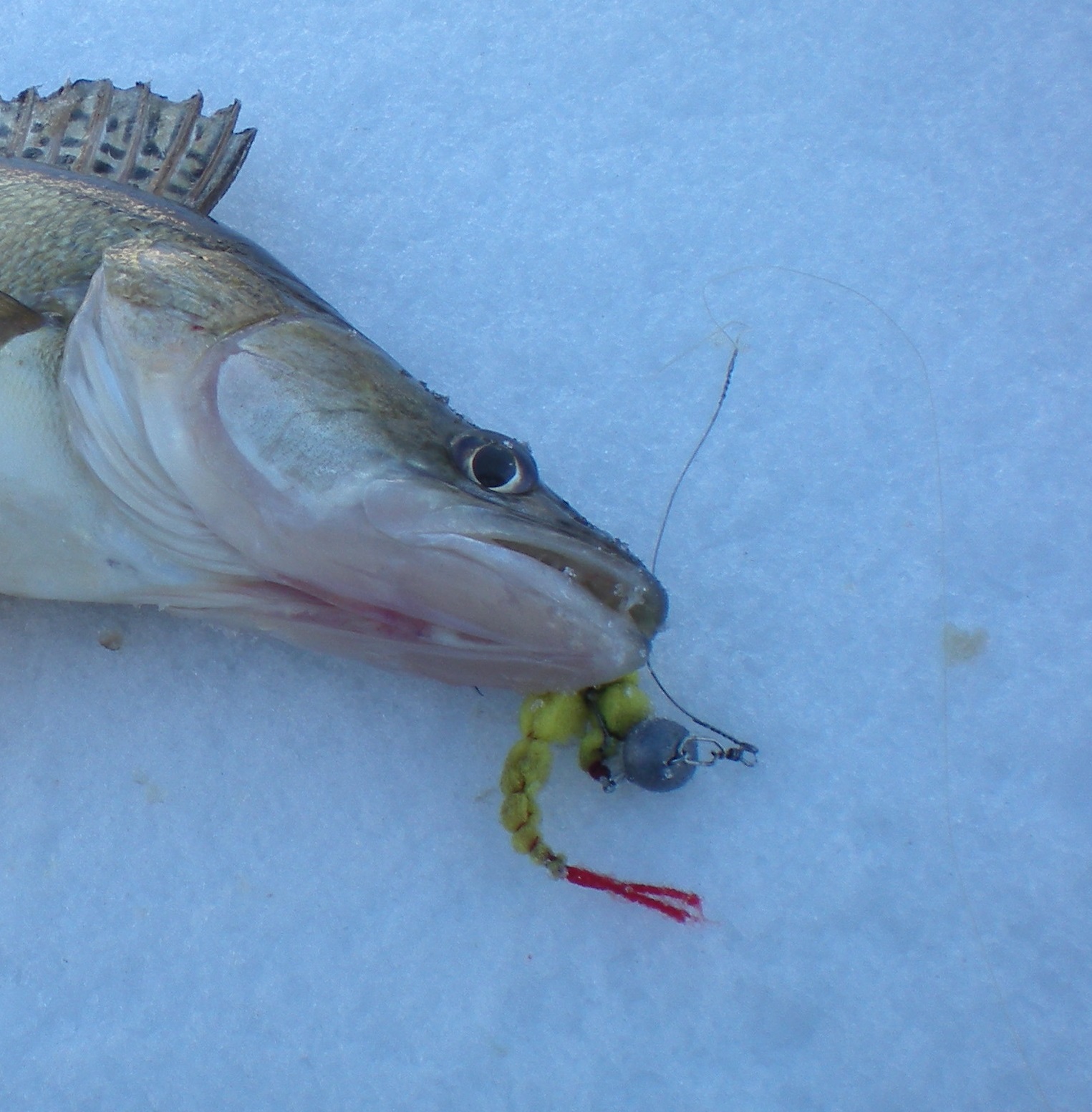 " Поролоновый червяк" на офсетном крючку. смотреть онлайн
