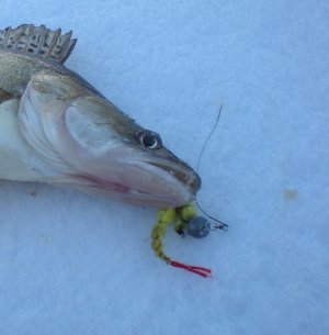 " Поролоновый червяк" на офсетном крючку.