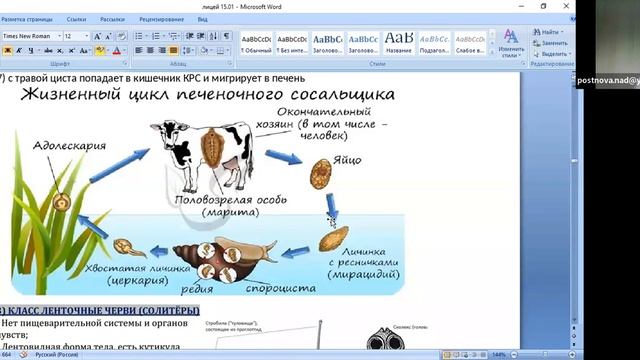ЕГЭ по биологии. Занятие 13. Простейшие животные смотреть онлайн