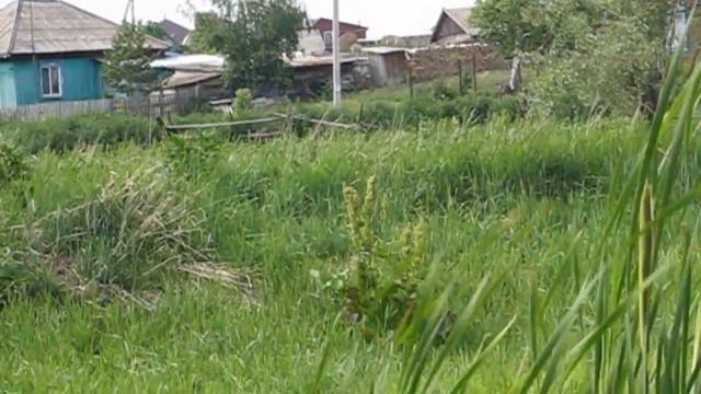музыка релакс деревня смотреть онлайн