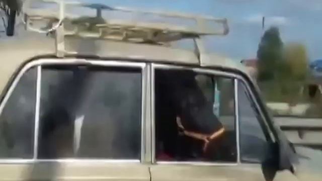 Лошадь в салоне «шестерки» смотреть онлайн