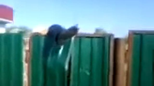 смешные видео. Прикольно упал и забор сломал. Приколы нашего района. смотреть онлайн