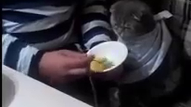 Эх,скорее бы внуки родились... смотреть онлайн