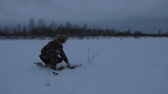 Карел Налимов в стране налимов. Огромные  налимы на 10кг. и на 8 кг.