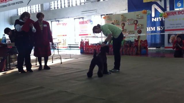 3.03.12 Усолье-Сибирске смотреть онлайн