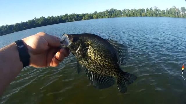 Crappie Fishing - A Live Bait Alternative смотреть онлайн