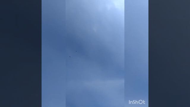 торцовые голуби гБогучар Дудкина.С.Г. 25.03.2023 смотреть онлайн