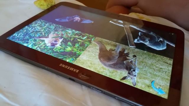 Дикие звери на английском смотреть онлайн