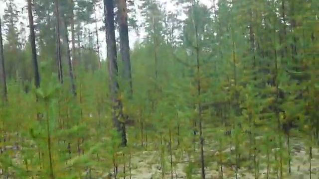 Как Сделать Просто