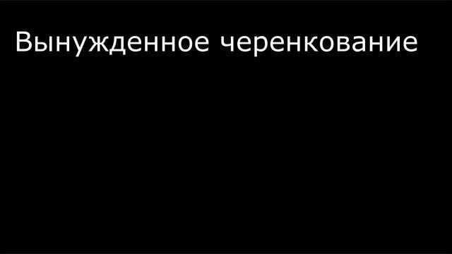 Уникальна ли выгода от черенкования томатов смотреть онлайн