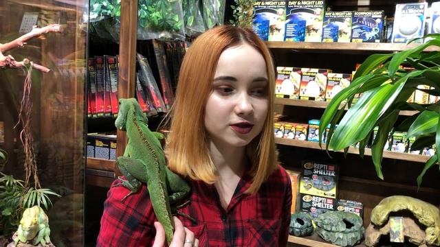 Укусы рептилий! Опасно ли? смотреть онлайн