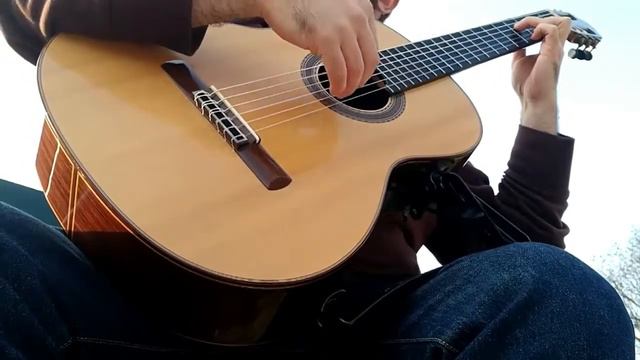 Estrellita - Manuel M. Ponce, performed by Tiago Gomes смотреть онлайн
