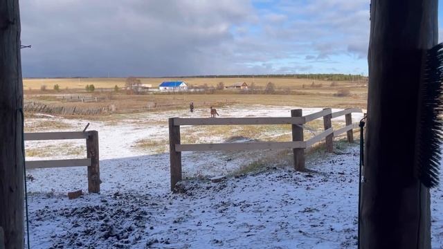 ЖИЗНЬ В ДЕРЕВНЕ | СОДЕРЖАНИЕ ЛОШАДЕЙ смотреть онлайн