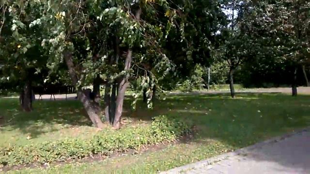 Рогнеда гуляет у Москвы-реки смотреть онлайн