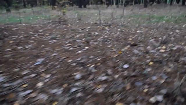 ОТЕЦ GRANDENIKO СОВЕРШИЛ РОКОВУЮ ОШИБКУ. САМВЕЛ НЕ ПРОСТИТ