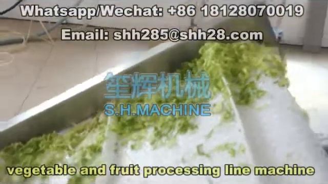 Automatic continuous vegetable and fruit cutting machine conveyor ozone clenaing machine смотреть онлайн