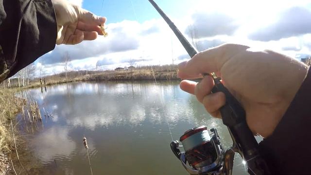 Ловим щуку в луже на спиннинг. Team Dubna Backwater снова в арсенале смотреть онлайн