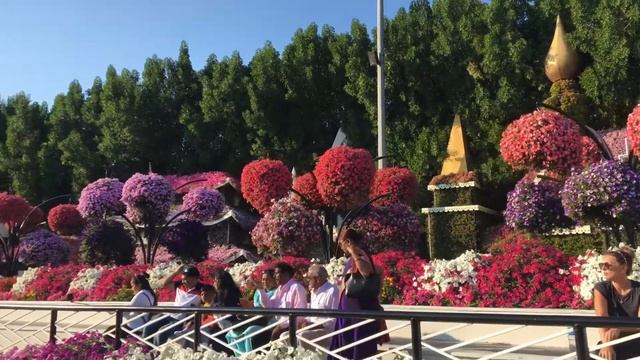 Miracle Garden ?????? смотреть онлайн
