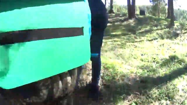 В поисках Ларкиного ущелья смотреть онлайн